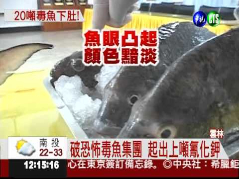 氰化鉀毒魚 2萬公斤恐吃下肚?!