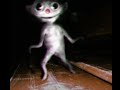 Unnerving Images Spooky Meme Trevor Henderson