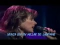 Laura Branigan - Never In A Million Years ...