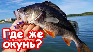 Окунь летом на реке