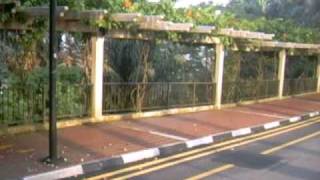 preview picture of video 'Faber Walk / Mount Faber (Southern Ridges) by market2garden'