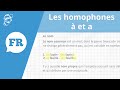 Les homonymes : homophones a et à