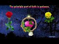 Good Morning Video Moving Roses