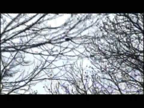 Michal Adler - Nightime, directed by Inbal Diskin