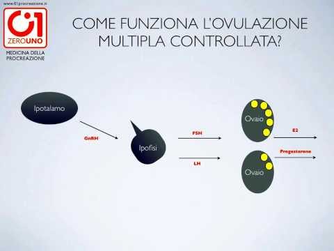 Mal di schiena e non mensile Drotaverinum con il mal di schiena