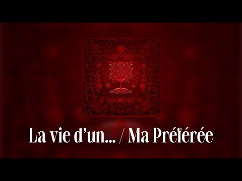 Dadju & Tayc - La vie d'un... / Ma préférée (Lyrics video)