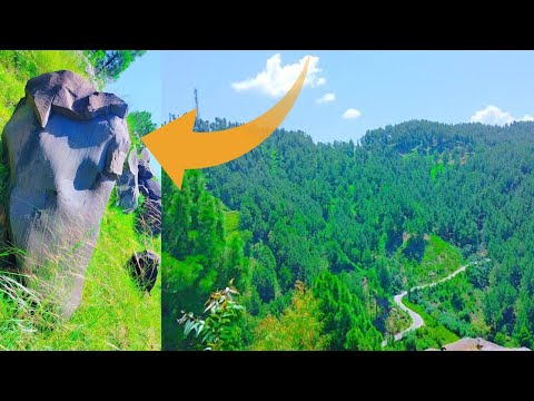 THE INSECT - 8K (60FPS) ULTRA HD - With Nature Sounds (Colorfully Dynamic)