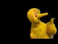 Big Bird Interview
