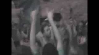 Mr. Lucci - Crook For Life