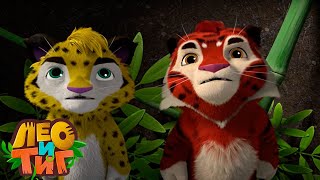 Лео и Тиг — Бамбуковый мастер — Серия 50