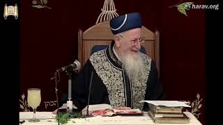 הלכות הגעלה וטבילת כלים  - פרשת מטות מסעי תשס"ז - מרן הרב מרדכי אליהו (הרב מרדכי אליהו זצ"ל) - התמונה מוצגת ישירות מתוך אתר האינטרנט יוטיוב. זכויות היוצרים בתמונה שייכות ליוצרה. קישור קרדיט למקור התוכן נמצא בתוך דף הסרטון