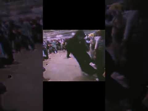 Memphis Cult, GORMCORPSX, Phonkyrie, SPLYXERLAIDBACK-laidback