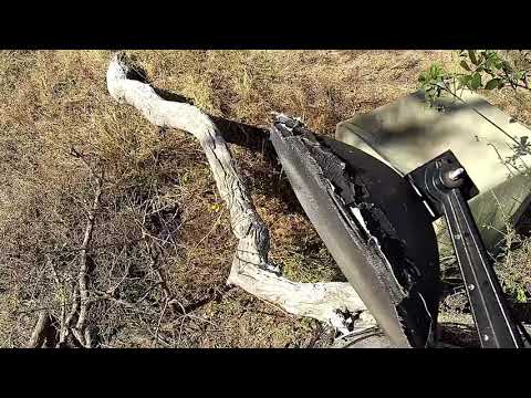 Djuma: Impalas drink at the pan and dam - 10:27 - 07/19/21