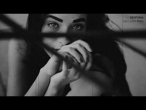 GESPONA - 2361 (CIPY RMX)