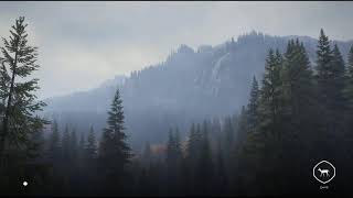 #6 theHunter.Call of the Wild