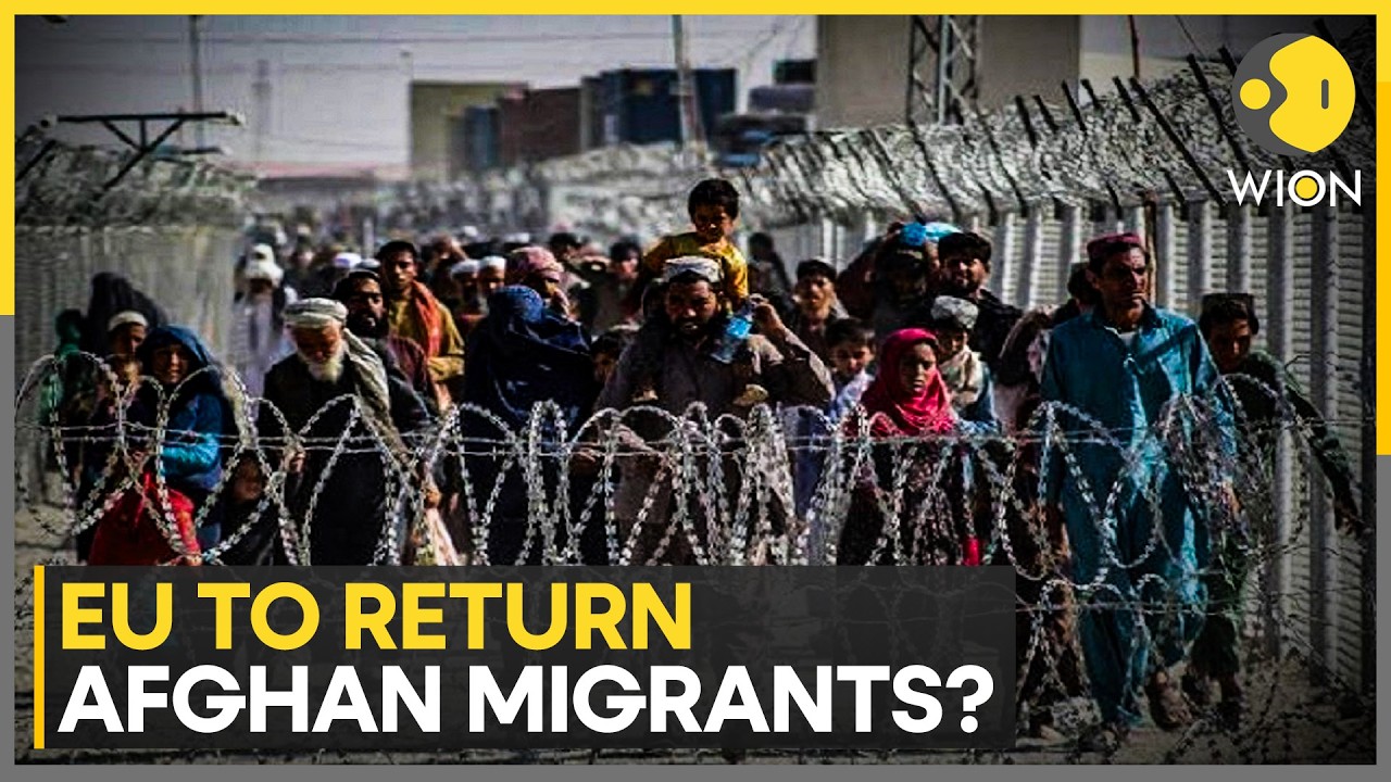EU Countries Exploring Ways How To Return Afghan Migrants | WION News