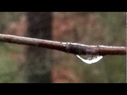 Christoph Stoltzenberg, Die mit Tränen säen