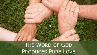 preview picture of video '1 Peter 1:22-2:3 - The Word of God Produces Pure Love'
