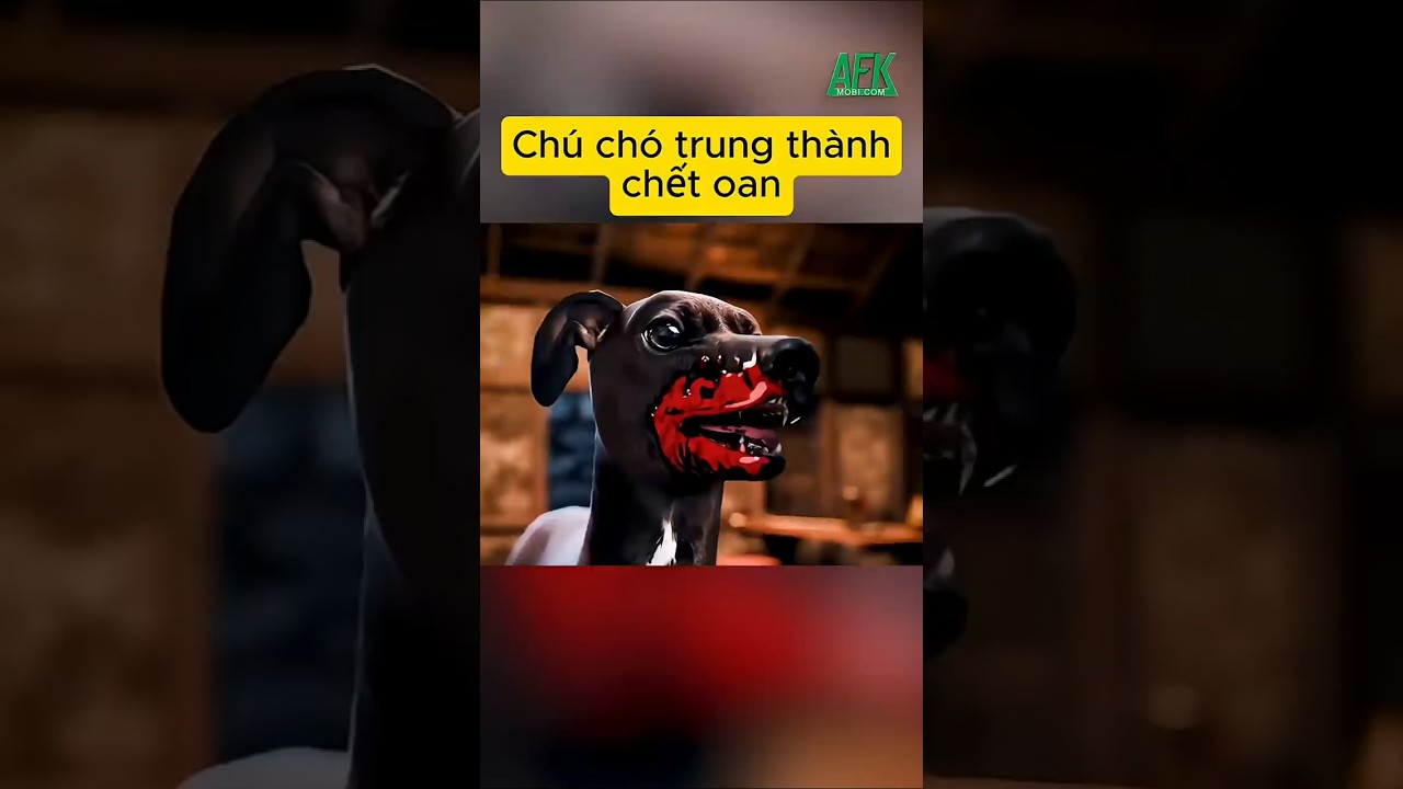 Chú chó trung thành chết oan