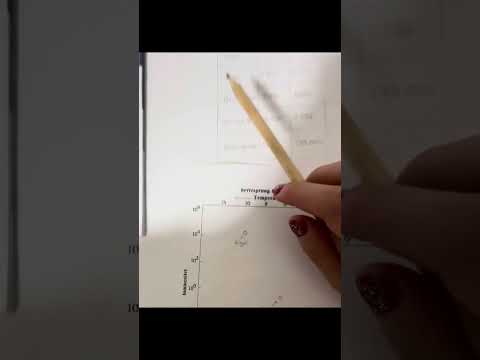 HR diagram fysik 2 Alan Taha