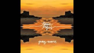 Twin Tigers - Gray Waves (Original Audio)