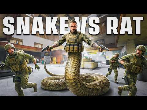 WHEN A SNAKE EATS A RAT! | Arena Breakout Infinite