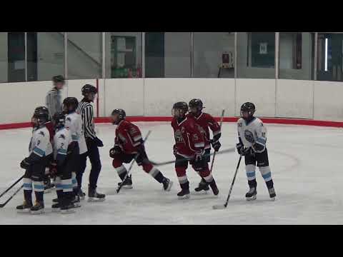 Jan 19 2020 PW Richmond A2 (L) at BMHA A1 (D)  #PL1676