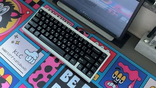 Shelby65 / alu plate / mx blacks LFSS