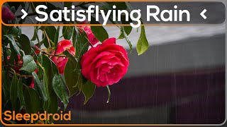 ► Satisfying Rain Video: Relaxing Rain Sounds for Sleeping