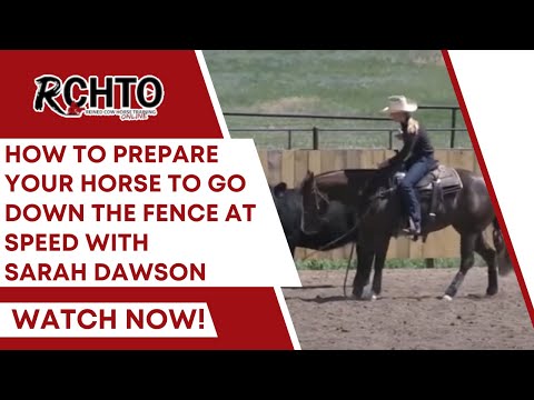 How To Prepare Your Horse To Go Down The Fence At Speed With Sarah Dawson