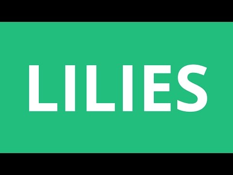 How To Pronounce Lilies - Pronunciation Academy