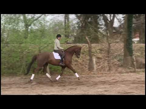 MANFRED 6j. v. Morricone - Jazz Time