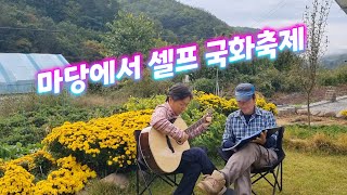 우리집 마당에서 셀프 국화축제. 통기타 초보의 자축공연 ㅋㅋㅋ