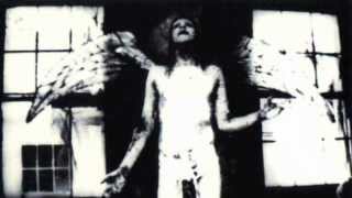 Cryptorchid - Marilyn Manson