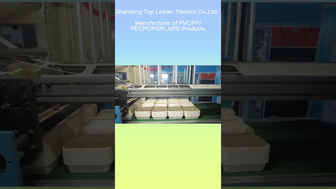 Biodegradable corn starch food tray, take out lunch box with cover