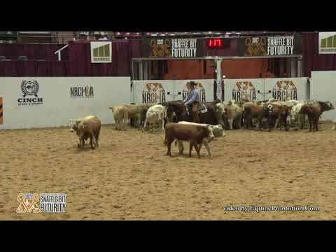 Opus Cat Olena Herd Work 2017 Snaffle Bit Futurity Clay Volmer