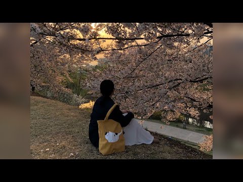 lying has to stop - clairo || s l o w e d