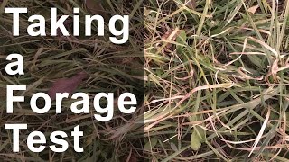 Taking a Forage Test