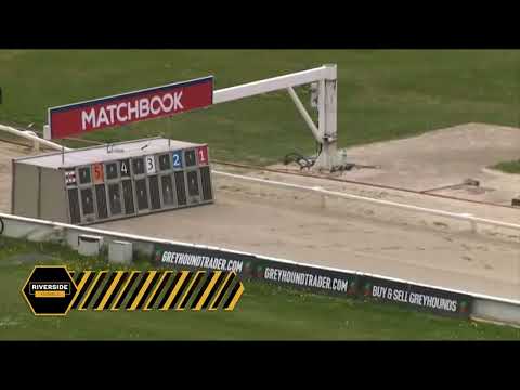 Romeo Magico - THE MATCHBOOK BEST ODDS ON GREYHOUNDS STAKES