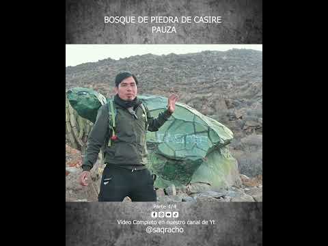 BOSQUE DE PIEDRA DE CASIRE