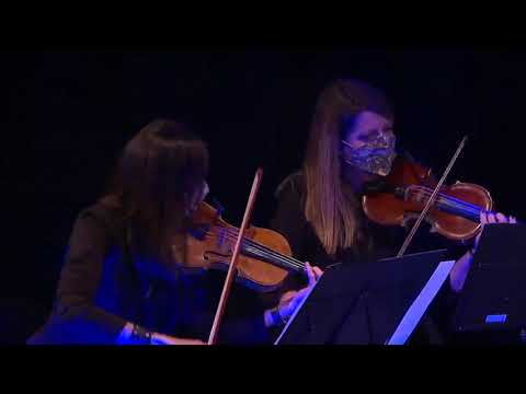 Heruvimska Pesma - Nenad Vasilic // Bass & Strings