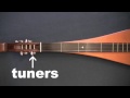 Dulcimerica 147 - "Getting Started Pt. 1" - Mountain Dulcimer