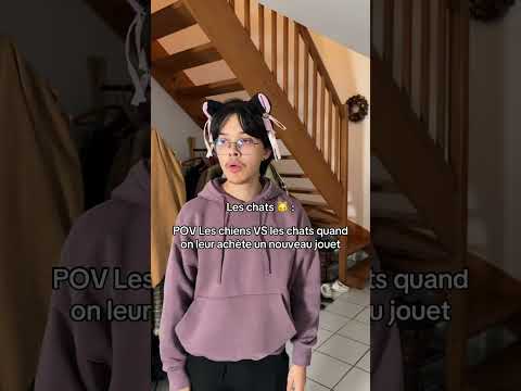 POV Les chiens VS les chats quand on leur achète un nouveau jouet