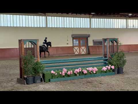 For Austria video 3