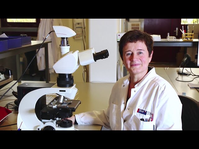 Microscópios com ergonomia única e automação inteligente