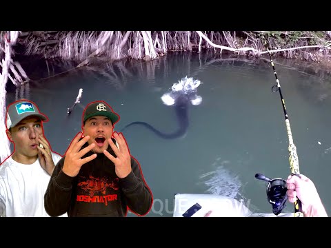 Wir reagieren auf ,,TOP 10 TOPWATER ATTACKEN‘‘