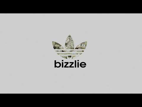 Bizzlie - Zgodnie Z Naturą