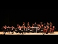 ПЕНЗАКОНЦЕРТ - Венский филармонический Штраус оркестр - Моцарт ...