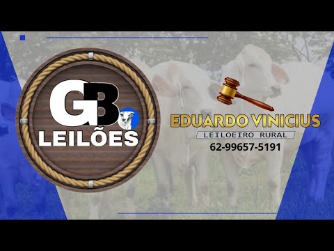 GB LEILÕES - COLINAS DO SUL - GO - 13/10/2025