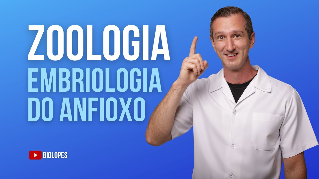 AULA 02 - EMBRIOLOGIA DO ANFIOXO - BIOLOPES
